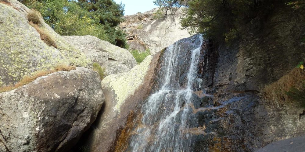 01d96b49351873c8db2057ea95df128e