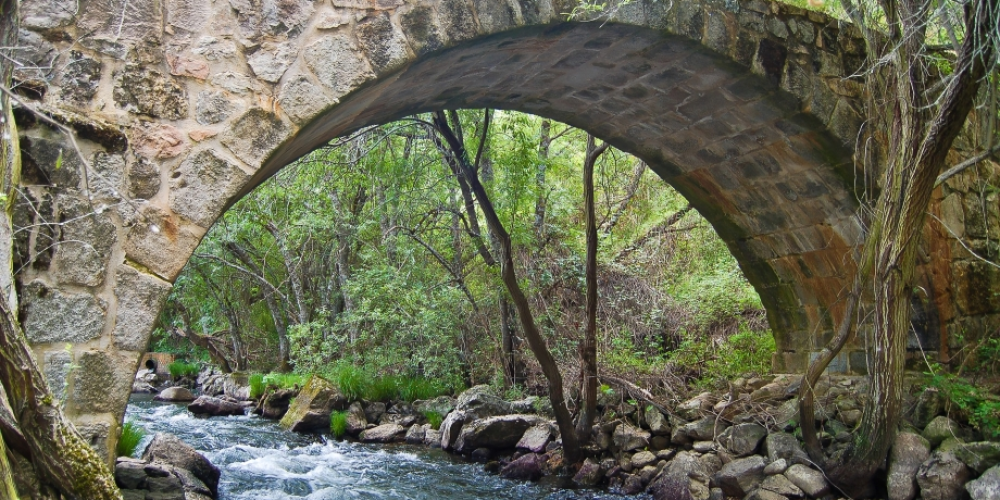 Puente de Las Merinas